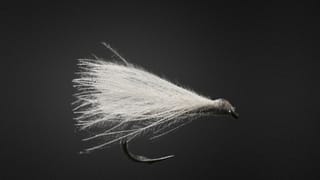 F Fly