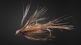 Flymph
