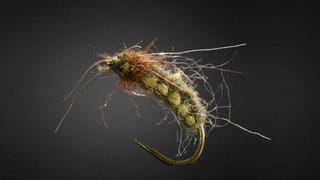 Polish Woven Nymph