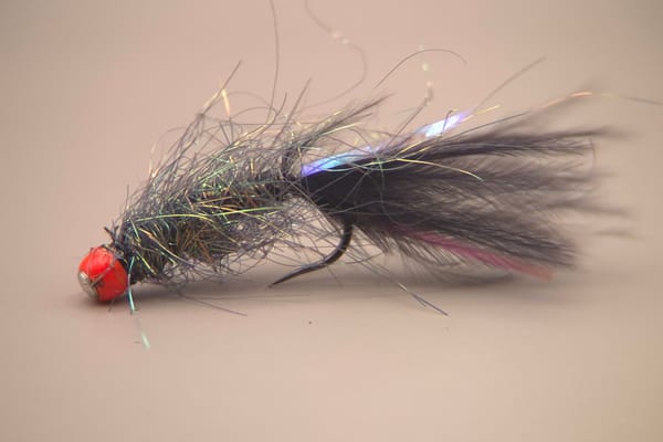 Balanced Leech