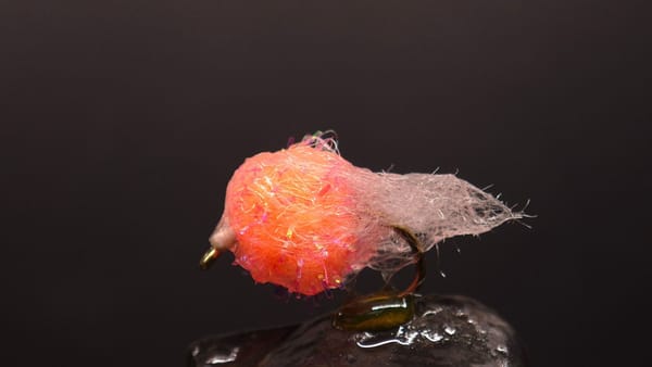 Veiled Egg