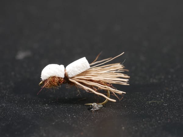 Balloon Caddis
