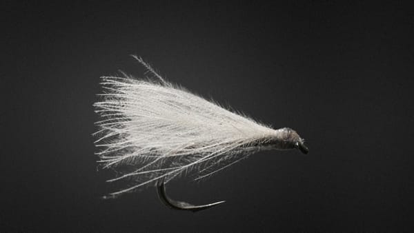 F Fly