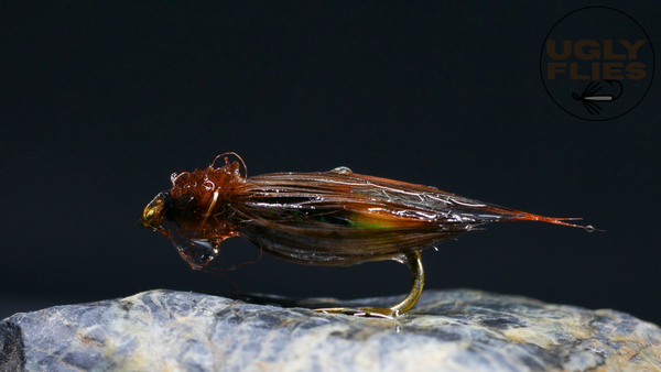Diving Grannom Caddis